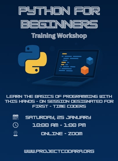 Flyer 2